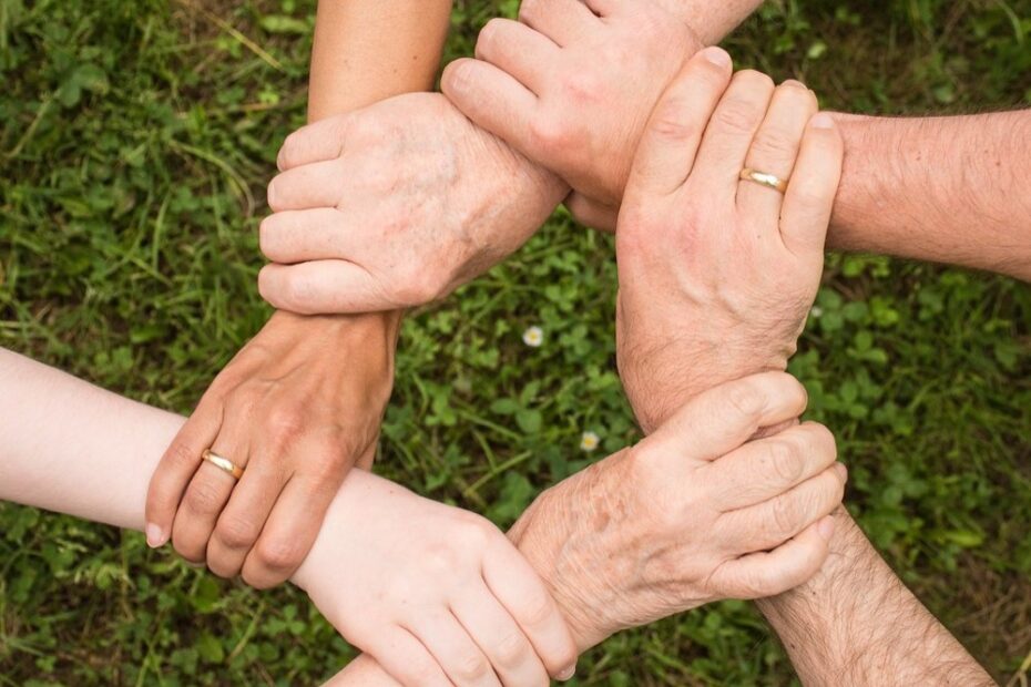Building a Participation-First Fundraising Culture